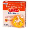 Kao - MegRhythm Steam Shoulder & Back Stick On Skin Thermo Patch