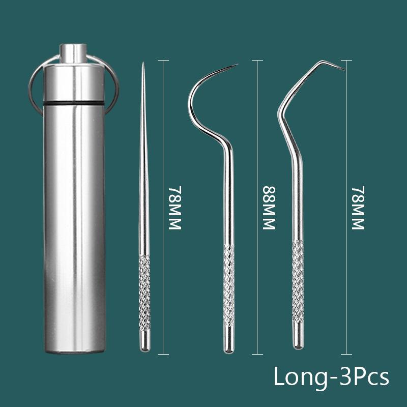 Stainless Steel Oral Cleaning Tooth Flossing Toothpick Set Portable Toothpick Floss Teeth Cleaner with Storage Tube