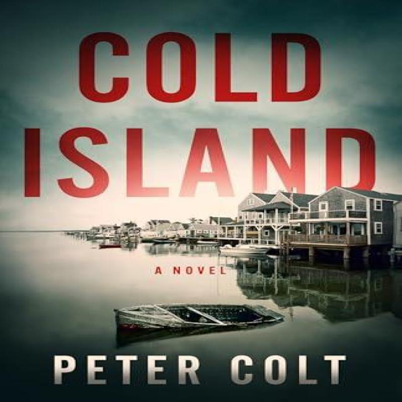 Cold Island by Peter Colt Paperback Book 9781662530388