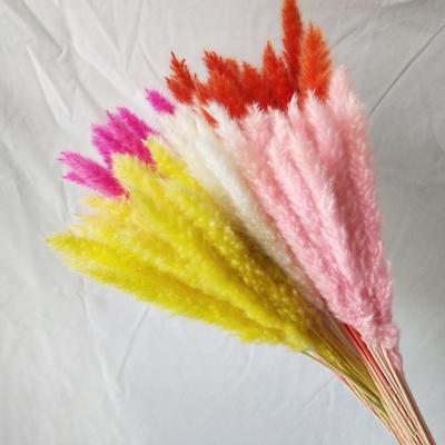 Künstliches getrocknetes Pampasgras, realistisch, lebendige Farbe, pflegeleicht, Hochzeits-Herzstück, Pampasgras, künstliche Pflanzendekoration