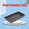 10Pcs No Holes Seed Propagation Tray Plastic Nursery Potted Seedling Trays Wheatgrass