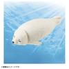 TAKARA TOMY Ania Harbor Seal Animal Dinosaur Toy Ages AC-12 (Children) 3+