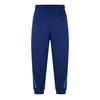 Mens Fleece France Travel Joggers