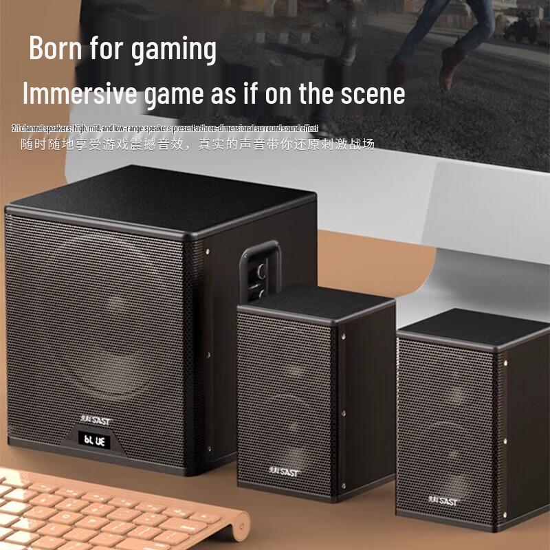 SAST A20 Home KTV Audio System with Bluetooth and Dual Mics CN plug (adapter included)