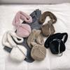 The new plush bag women's 2025 popular cute texture chain shoulder messenger bag and hand-held wool bag