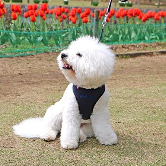 For slip easy to put on and take with safety antibacterial and deodorizing Super Harness and Lead Tricolor Neo For active timid dogs with weak trachea