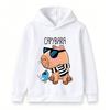 Kids Boys Girls Pullover Hoodie, Cool Capybara Wearing Sunglasses Print Casual Hooded Sweatshirt, Cute Blue Bird Pattern Soft Warm Lightweight Top