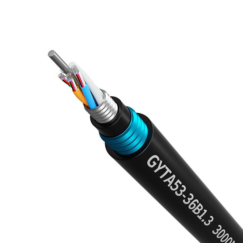 

FHTCEN GYTA53 36-Core 50m Outdoor Single-Mode Armored Fiber Optic Cable