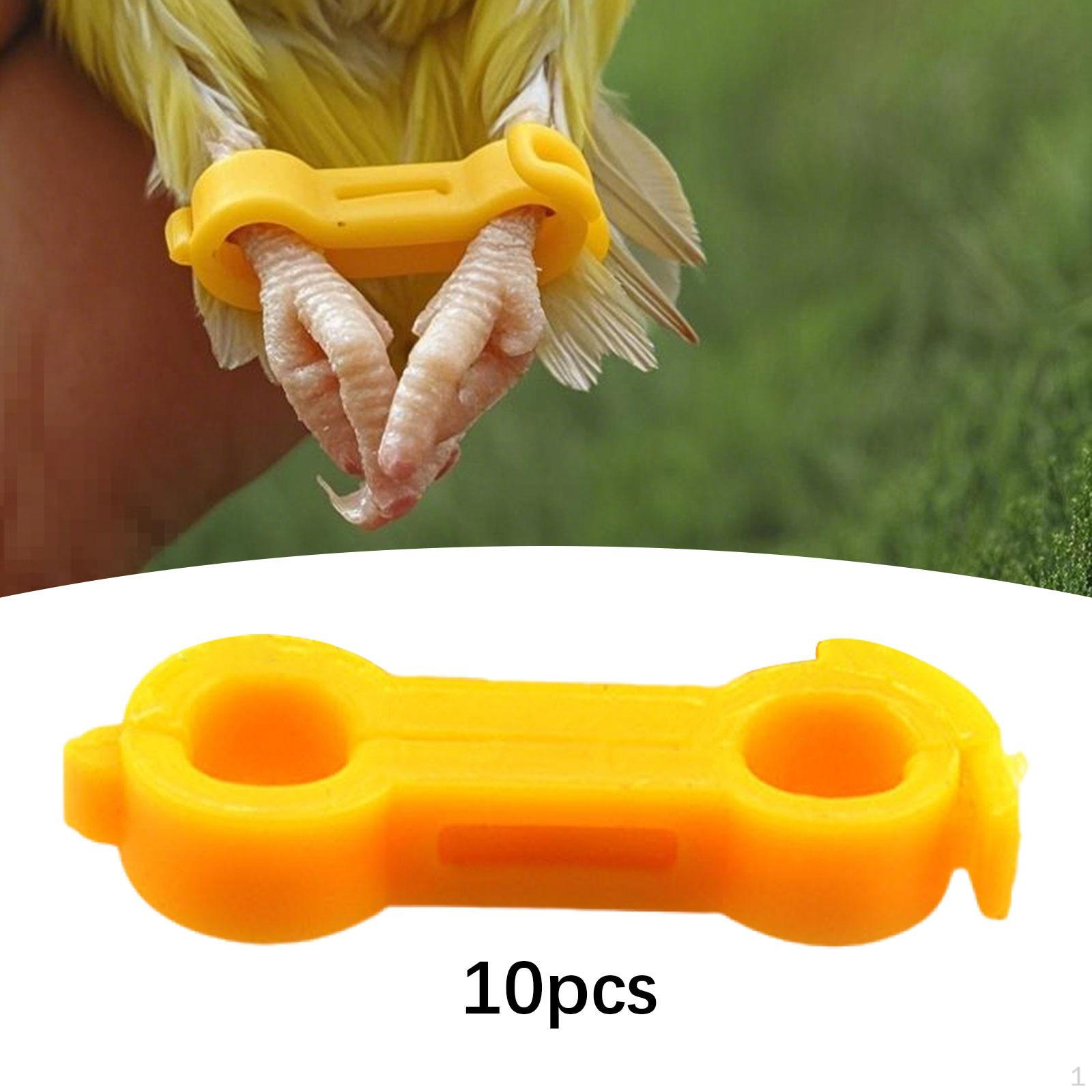 

10Pcs Poultry Leg Bands Baby Chick Splay Hobble for Ducks Parrot Birds 5mmx26mm