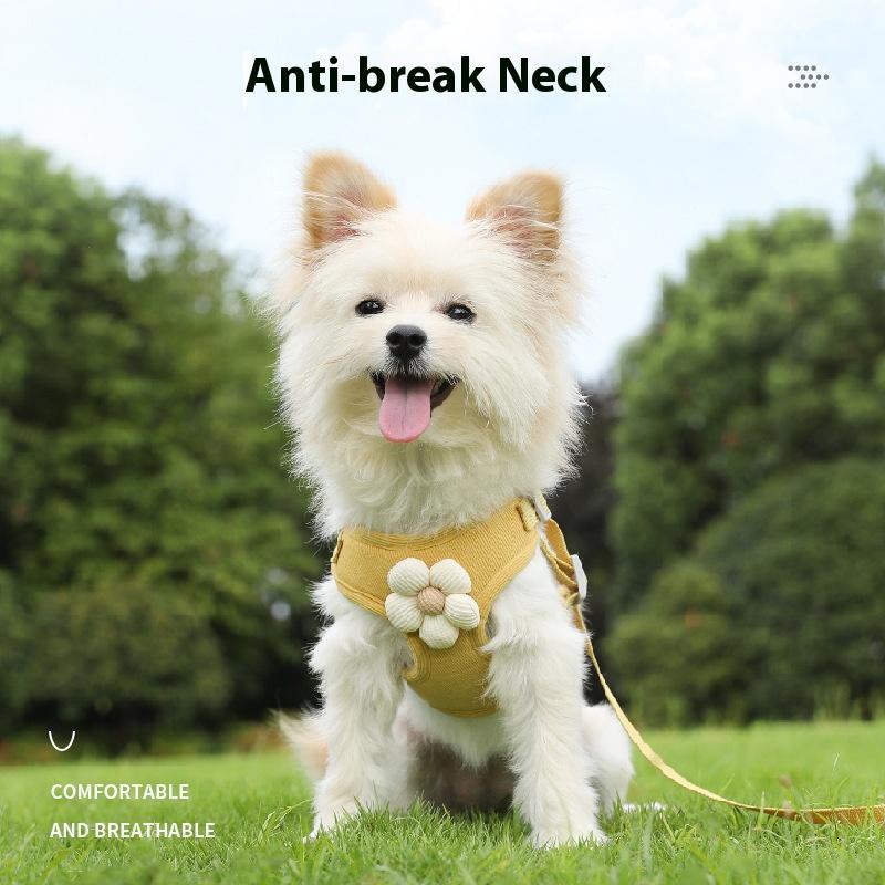 1.2M Pettorina da passeggio per cani stile gilet cane piccolo orsacchiotto, pettorina speciale per Pomerania, catena per cucciolo, guinzaglio per passeggio cane Set guinzaglio Regola