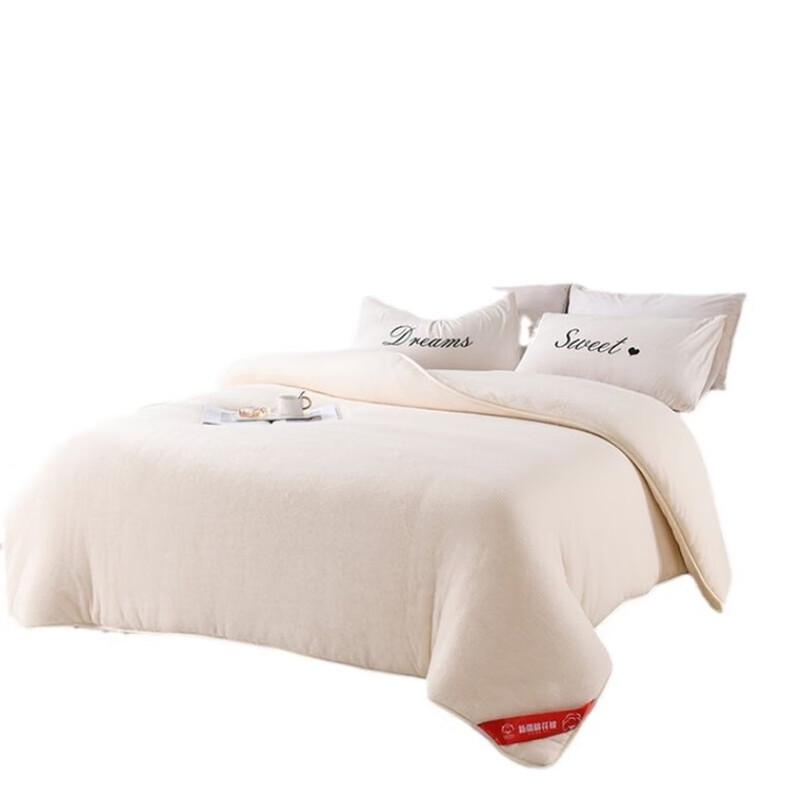 LISM All-Season Soy Fiber Quilt Insert