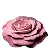 Peony Diatomaceous Earth Floor Mat – Stain-Resistant, Easy-to-Clean, Water-Absorbent Carpet for Bathroom/Entrance
