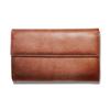 Collect Accordion Multi-Case, Style, Brown, CP-34V-BR