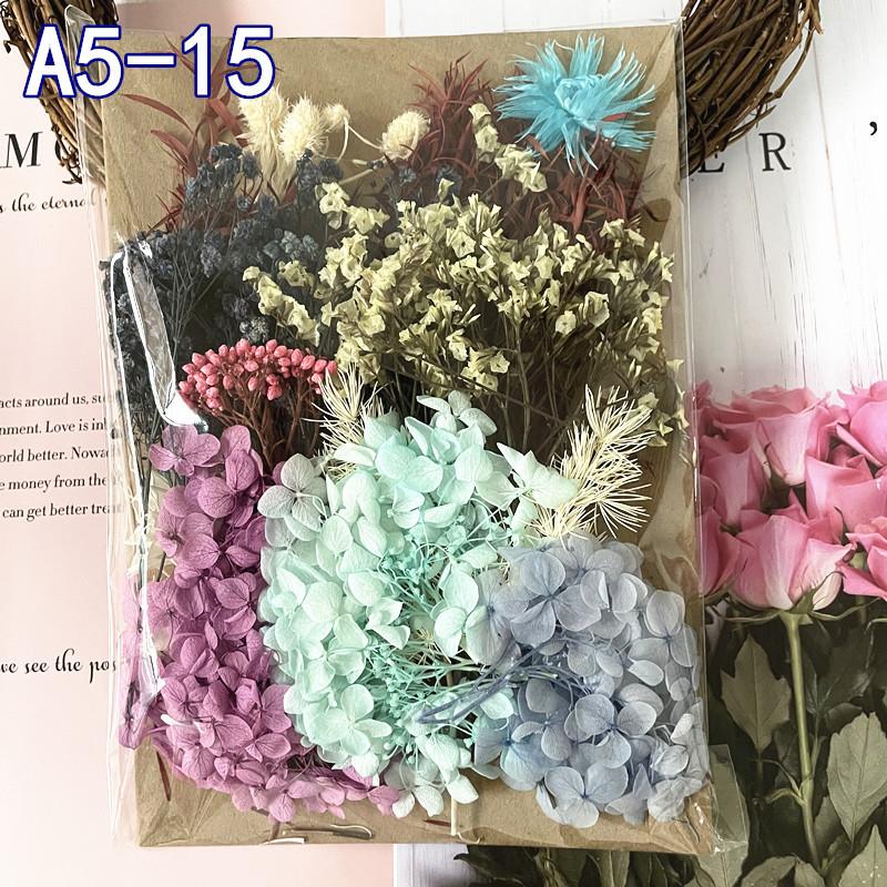Exquisite Eternal Dry Flower Ancient Style Group Fan Material Pack for Children's Handmade Exclusive Decoration Dried Flowers