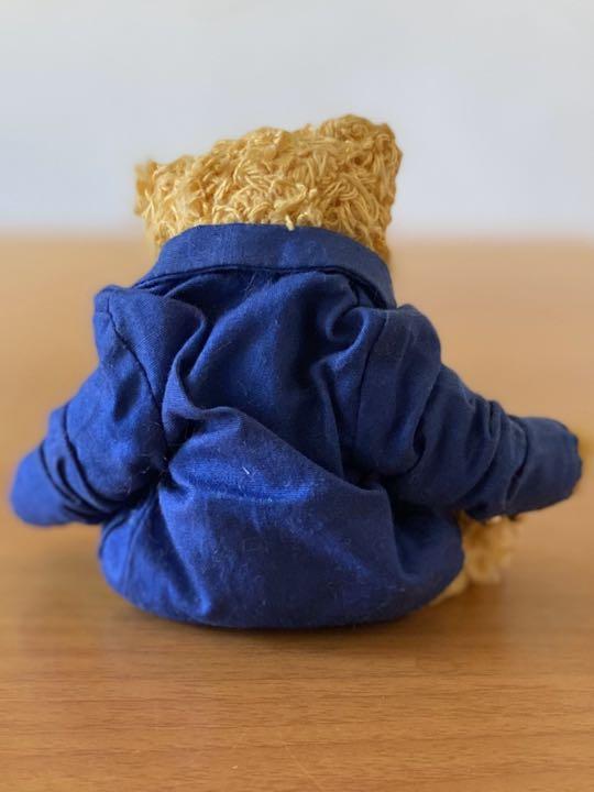 [USED] Teddy Bear Blue Coat