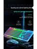 Luminous Punk Keycaps Wired Keyboard & Mouse Set for Gaming
