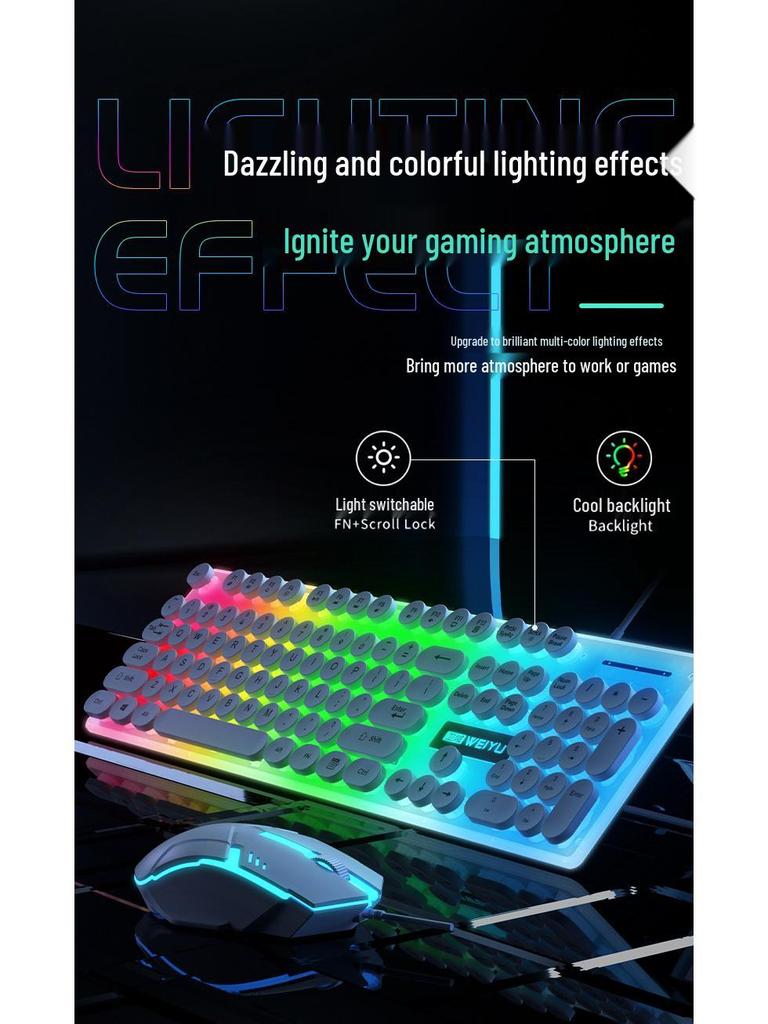 Luminous Punk Keycaps Wired Keyboard & Mouse Set for Gaming