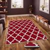 Decorative Special Design Modern Floor Rugs Patterned Non-Slip Base Washable