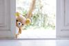 Rilakkuma Plush MR75401 Toy, Medium,