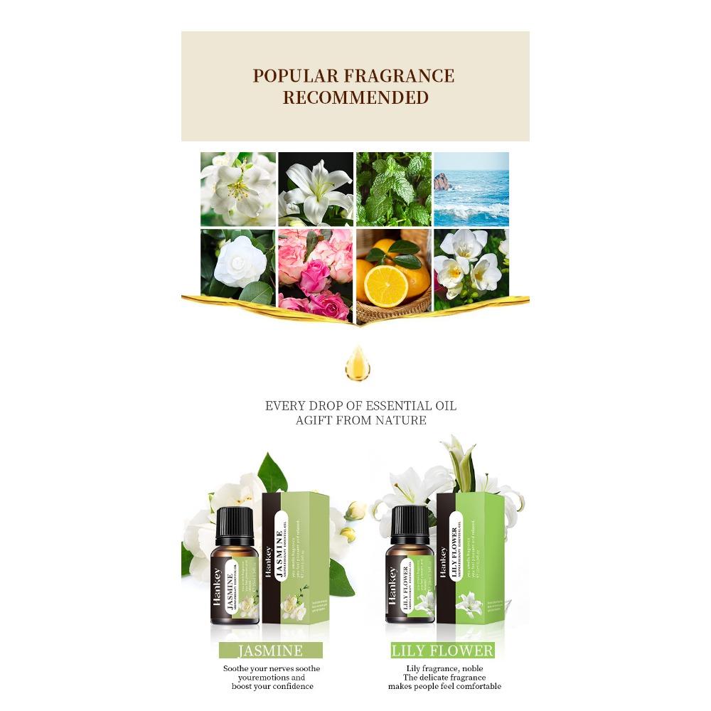 1PC Aromatherapy Essential Oil, Long-lasting Indoor Fragrance, Fresh Air, Water-soluble Aromatherapy Plant Essential Oil