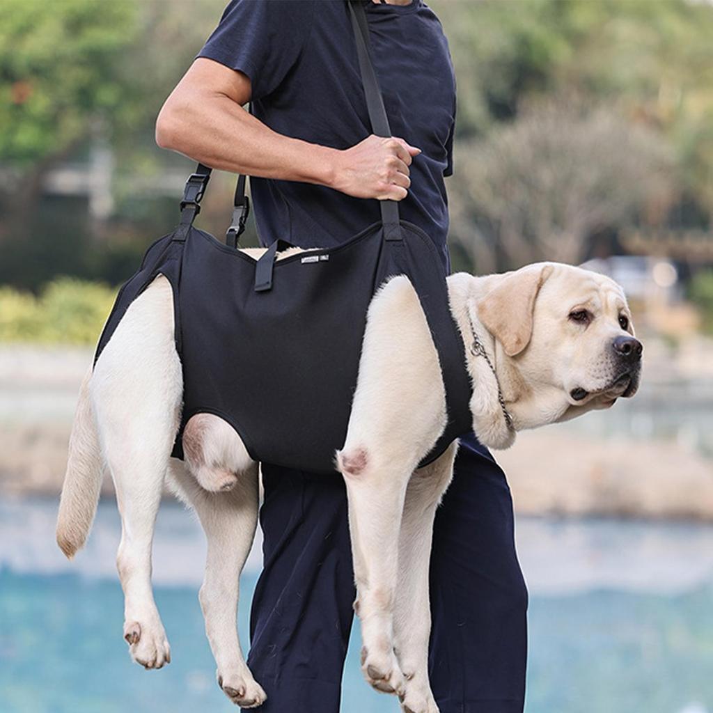 Dog Carrying Harness Pet Support Harness Puppy Rehabilitation Lift Vest Adjustable Strap Handle For Joint Injuries Senior Dogs