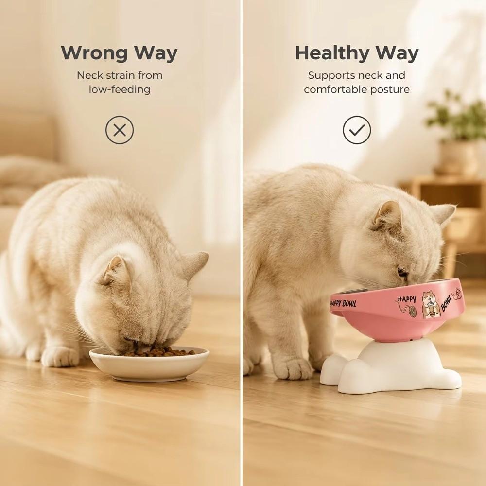 Stainless Steel Elevated Cat Bowl Non-slip Raised Pet Bowl Durable Pet Feeding Bowl Cats Dogs