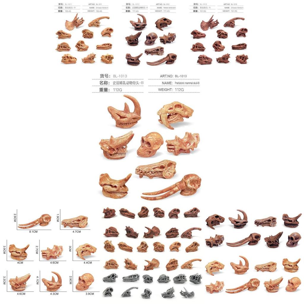 Realistic Jurassic Dinosaur Skull Model Toy For Kids Educational Archaeology Fun