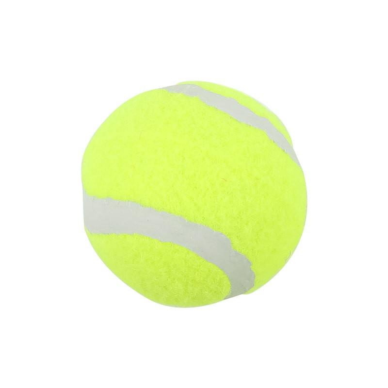 Pelota de Juguete para Mascotas de Alta Elasticidad para Perros - Dentición y Juego