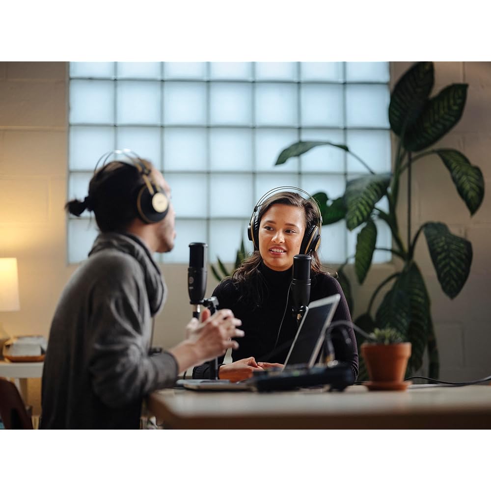 AKG (Arker Game) P120 Project Studio Line [Ideal for Vocal/instrument Recording, Durable All-meta...