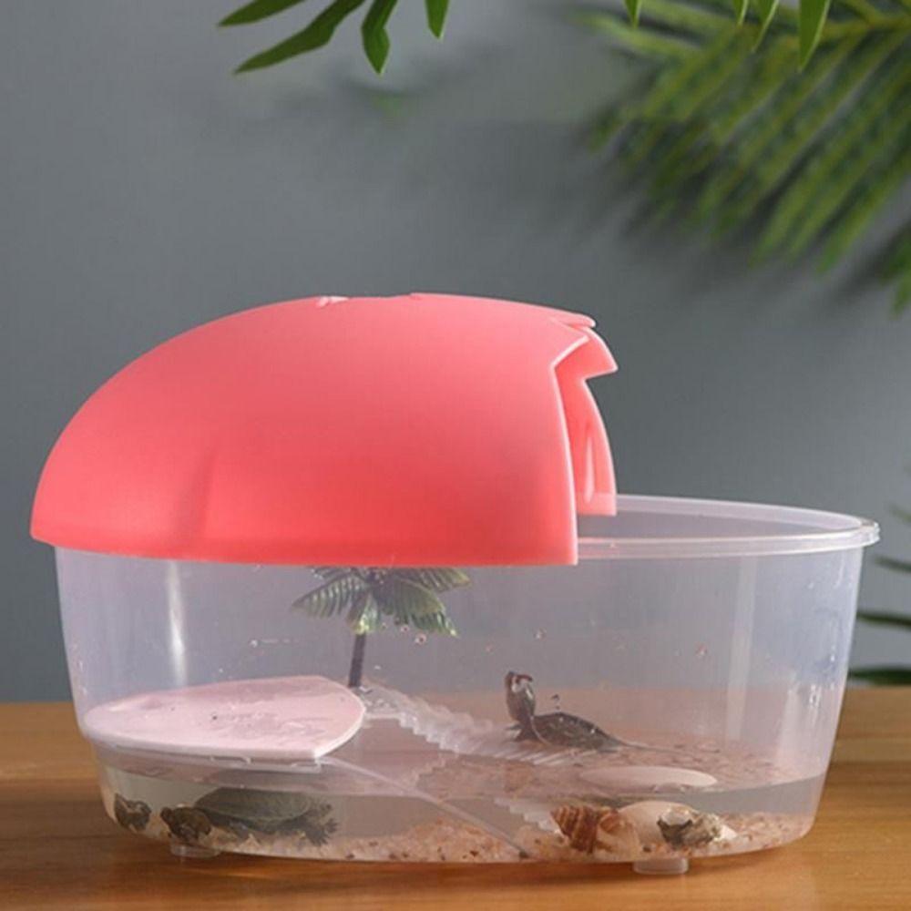 With Cover Turtle Hydroponic Box Recyclable Egg-shape Container Box  Terrarium Habitat