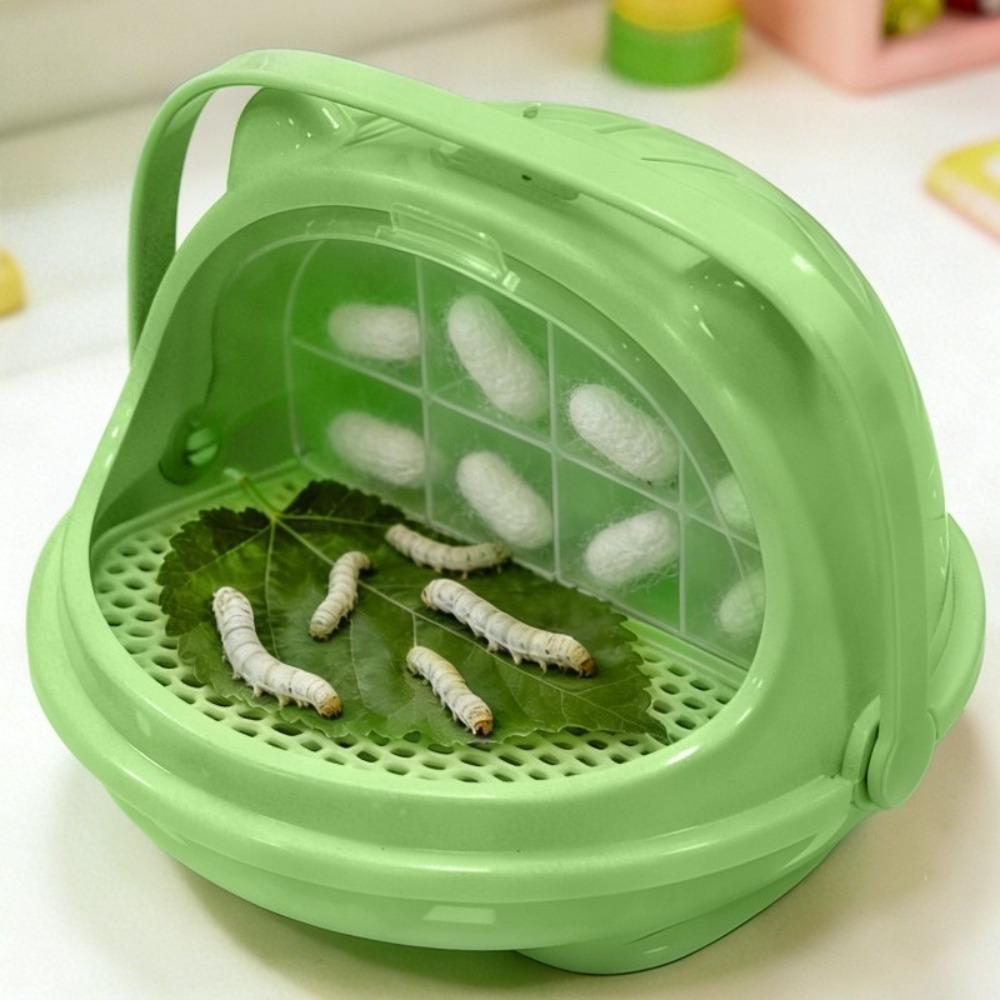 with Handle Silkworm Breeding Box Space Capsule Design Feeding Container  Science Project зелёный