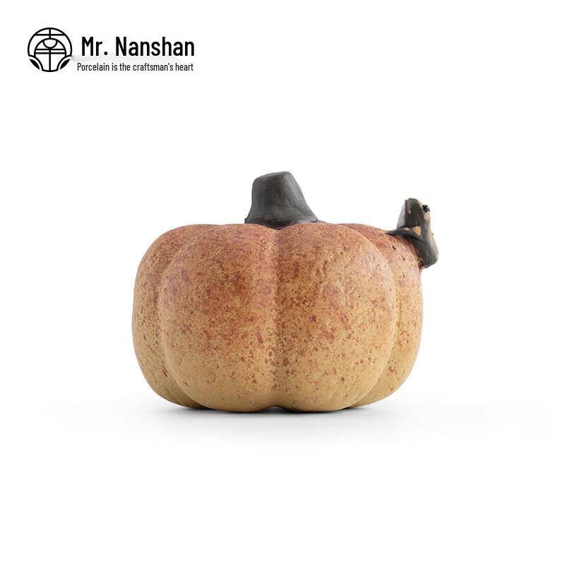 Путешествующая лягушка тыква чайный питомец