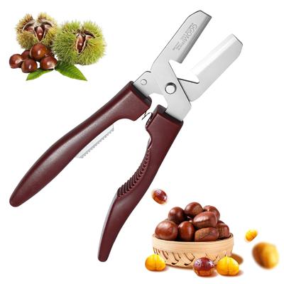 Sediven Chestnut Peels Peels Peels Peels Peels Peels Peels Peels Peels Chestnut Peeling Chestnut Easy To Hurt Your Peeler, Chestnuts, Chestnuts,