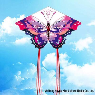 Bright Triangular Kite - Easy To Fly In Light Breeze, Vibrant Colors, In Stock