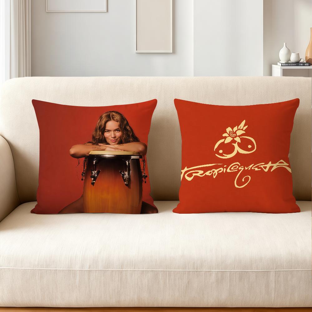 Singer K-Karol G Funny Pillow Case Applicable Space For Guest Rooms Interiors Cars Office House Decoration
