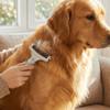 Double-Sided Pet Grooming Brush Professional Cat Cleaning Comb Dog Knot Opening Comb  Pet Massage