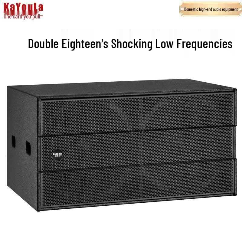Kayoula DY-218L Dual 18-inch Full-Range Conference Speaker (CN Version)