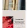 THE FACE SHOP - fmgt New Bold Sheer Glow Lipstick - 19 Colors