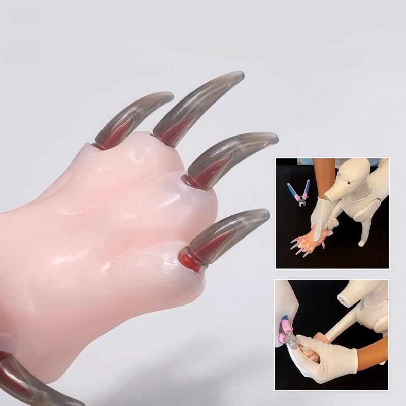 Silicone Realistic Dog Paw Training Practice Model for Pet Nail Trimming Beginner Instructional Tool Party Novelty Gift Bulk