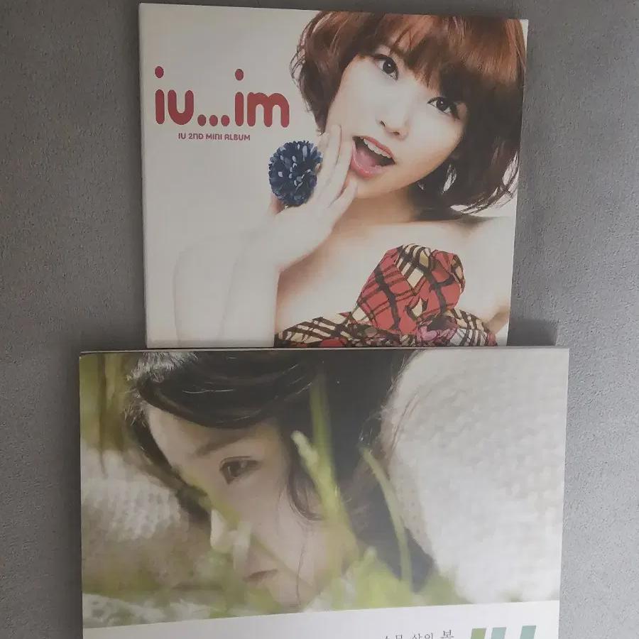 

Iu Sells 2 Mini Albums And A 20-year-old Spring Album