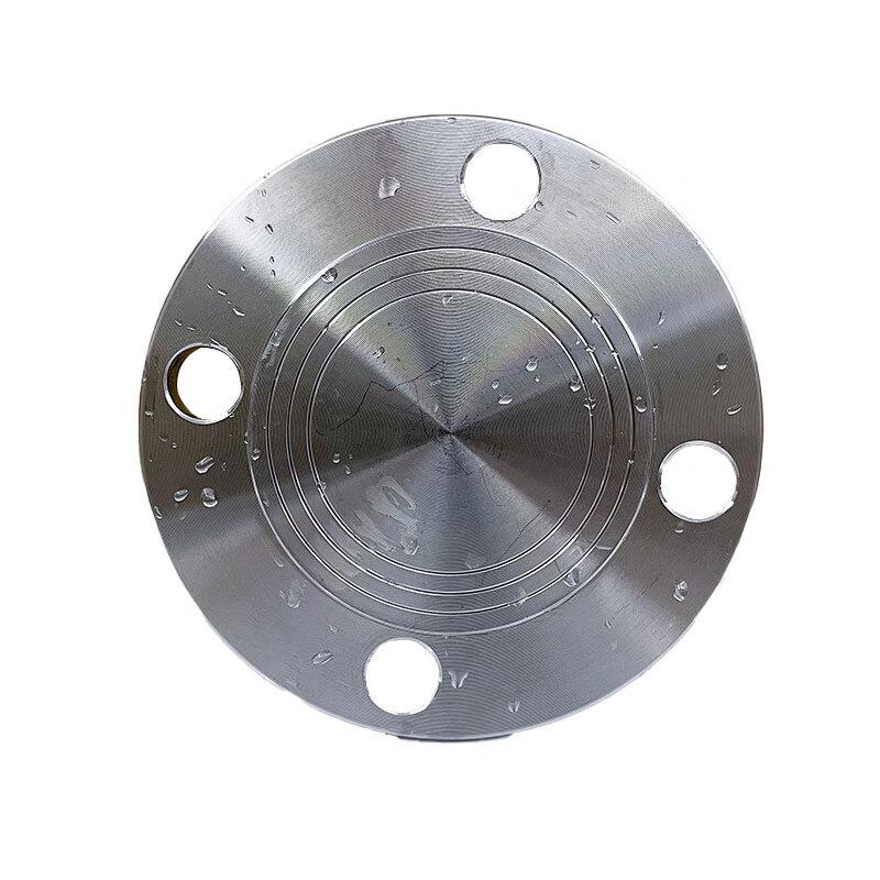 304 Stainless Steel Blind Plate Flange DN65-PN10