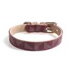 Dog Collar Luxury Designer Safe Adjustable Metal Button PU Leather Leash Lead Collar for Small Medium Large Dogs Pet Accessories