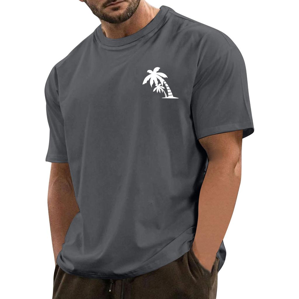 Men's Fashionable Casual Hawaiian Print Round Neck Short-Sleeved T-Shirt Top