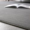Modern Simple Style Thickened Non-Slip Coral Fleece Carpet for Living Room & Bedroom