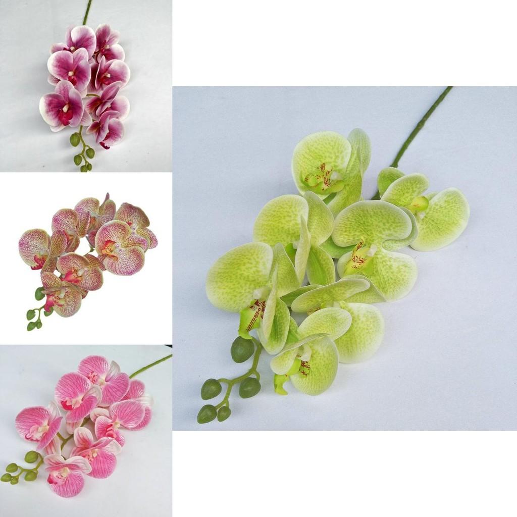 Artificial Phalaenopsis Orchid 3d Printed Realistic Multi Stem For Home Wedding Decor