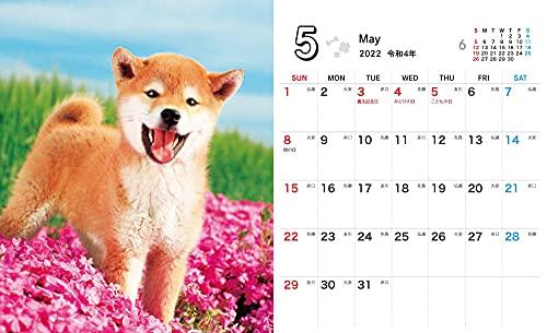 Shiba Inu Weather Mini (Impress Calendar 2022)