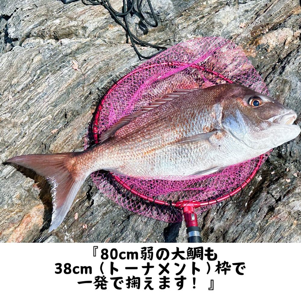 Siyouei Ultra Frame Goku Ver.2 with Net, Tournament Model, Frame 38cm x Depth 45cm, Purple Frame, Smoke, and Gray Color, Product Number 860-4