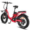 Fafrees F20 X-Max Electric Bike 20*4.0 Inch Fat Tire 750W Brushless Motor 48V 30AH Battery