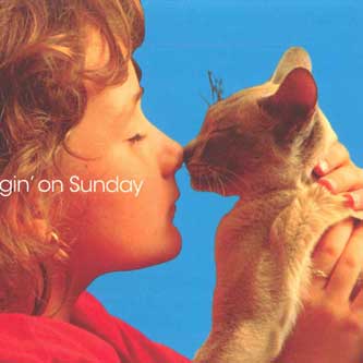 

CD VARIOUS - Singin On Sunday UCCE90689 PVINE 2008 Japan Jazz Used