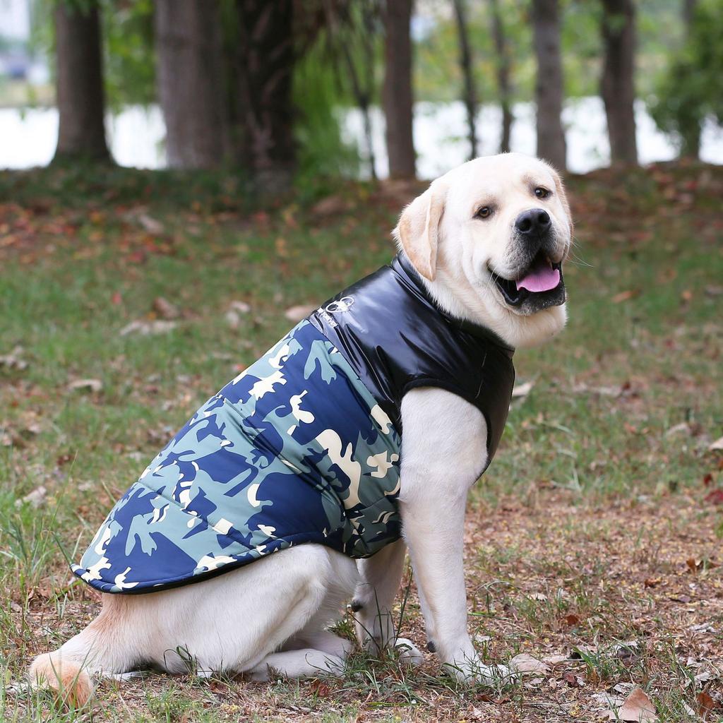 Veste d'hiver imperméable rembourrée pour chien, treillis Doodle bleu, garde au chaud, réflexion nocturne, manteau en coton pour animaux de compagnie, vêtements, fournitures pour animaux de compagnie
